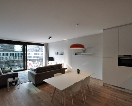 In the spotlight: Large appartement